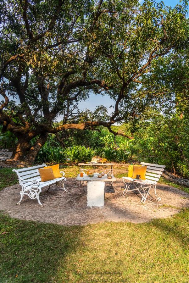 Saffronstays Chikoo Wadi- 3Bdr Pet-Friendly Villa With Pool In Boisar Exterior foto